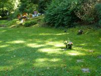 Rasengräber auf dem Waldfriedhof Reinshagen