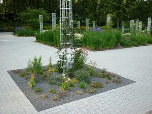 Staudengarten im Stadtpark Staudengarten im Stadtpark
