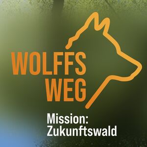 Der Remscheider WolffsWeg – Mission: Zukunftswald Der Remscheider WolffsWeg – Mission: Zukunftswald